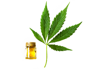 aceite de cánabo na composición de Cannabis aceite
