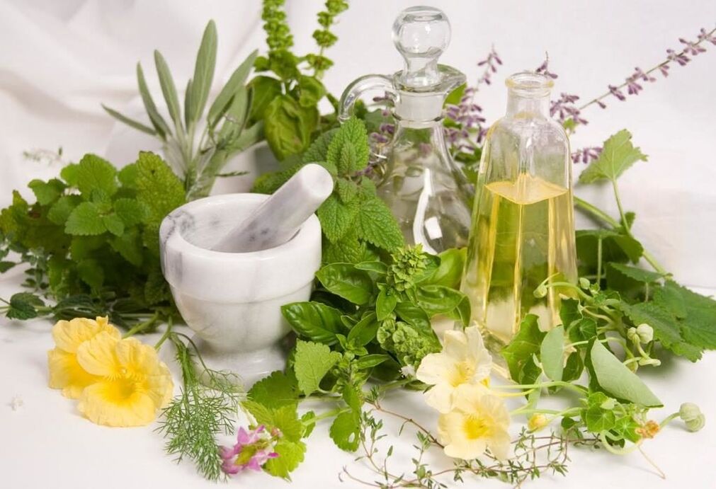 Herbas usadas para tratar a osteocondrose cervical
